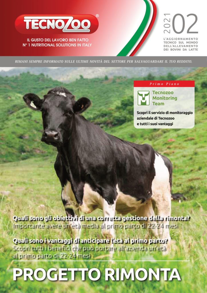 Progetto Rimonta