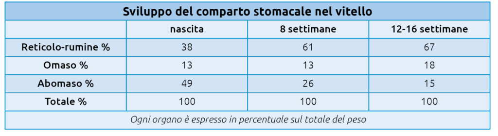 rumine del vitello