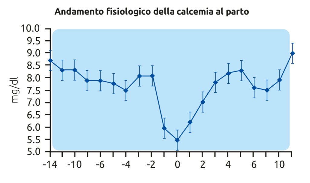 Ipocalcemia